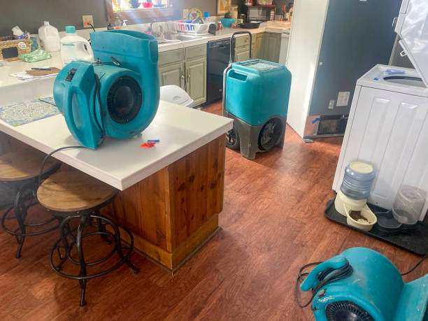 Best Local water damage restoration  in Brookfield Center, OH